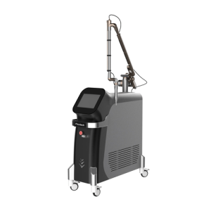 Long Pulse Nd YAG Picosecond Laser System
